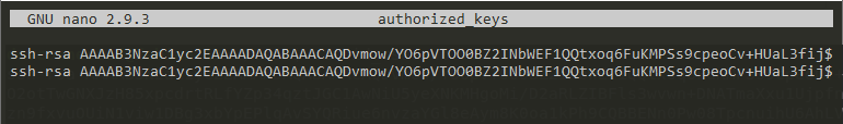 Appending a public key to the SSH authorized keys
