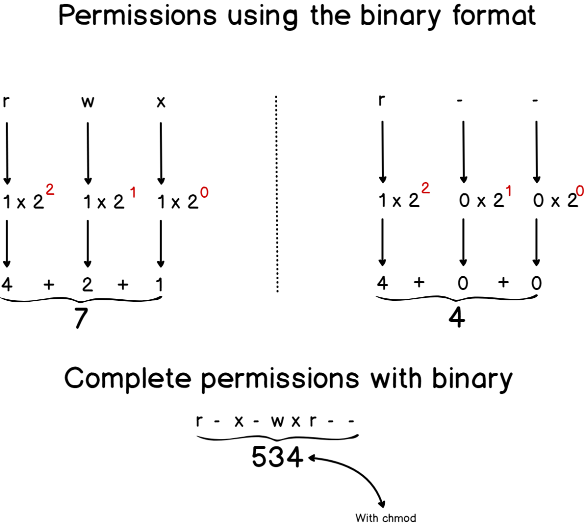 Параметры chmod. Chmod Linux. Linux file permissions. Binary format.