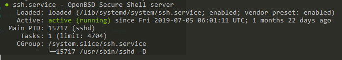 SSH service running on Debian