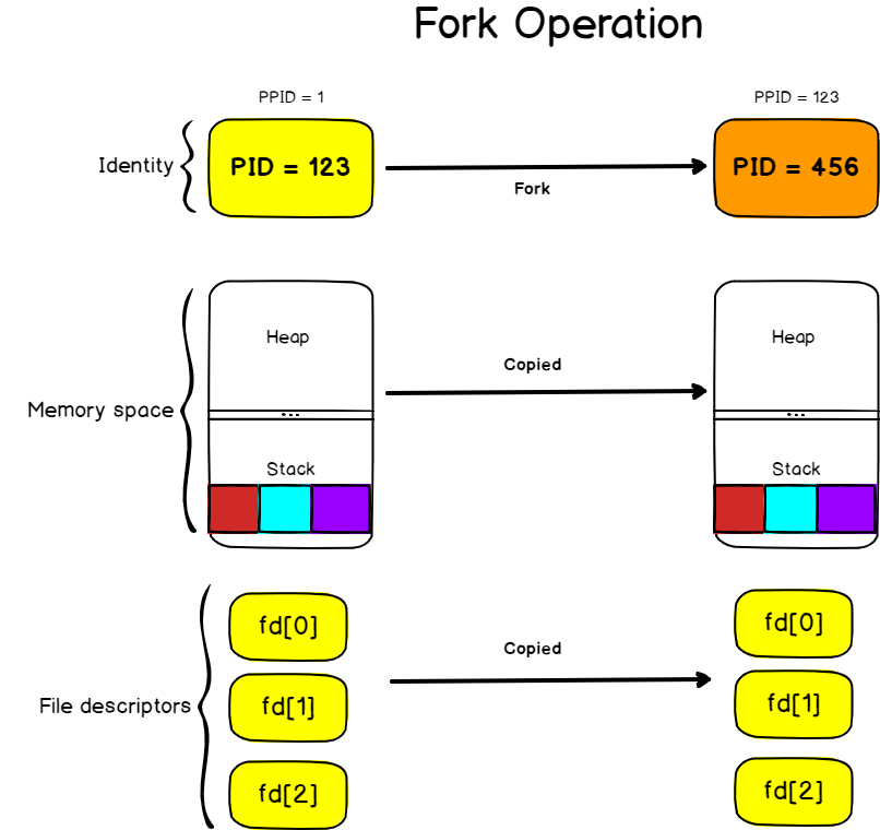 Process forking on Linux