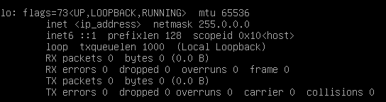 Checking local IP using ifconfig