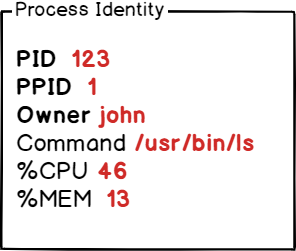 Process Identifier on Linux