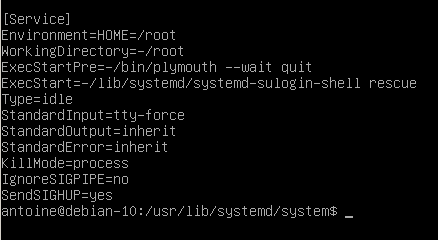 Single user mode service file on Debian