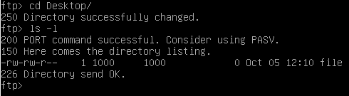 Changing directory on a FTP server on Linux