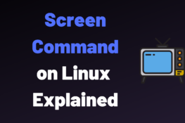 Source Command on Linux Explained – devconnected