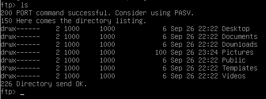 Listing entries on a FTP server on Linux