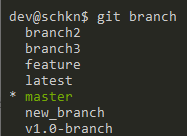 listing git branch