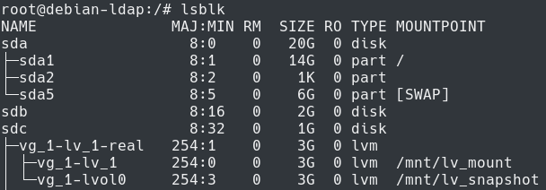 montering av en LVM-ögonblicksbild på linux
