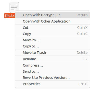 open with decrypt file