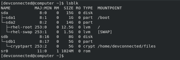 linux list disks by id